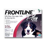 Dog Flea & Tick