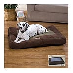 Dog Personalize Items