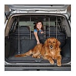 Dog Travel & Outdoors